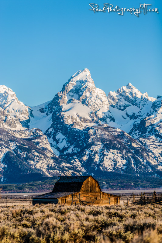 The Grand Teton -the highest  peak in Grand Teton National Park (Click the image to buy a print!)