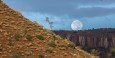 Full moon set while out rhino tracking